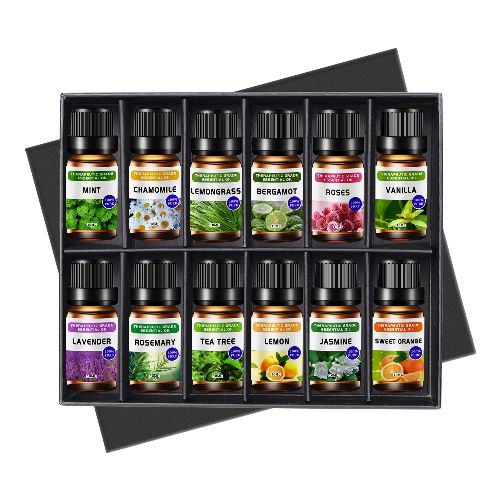 Candle Supplies Essential Oils - Aromatherapy Essential Oil Case 10ml Lavender