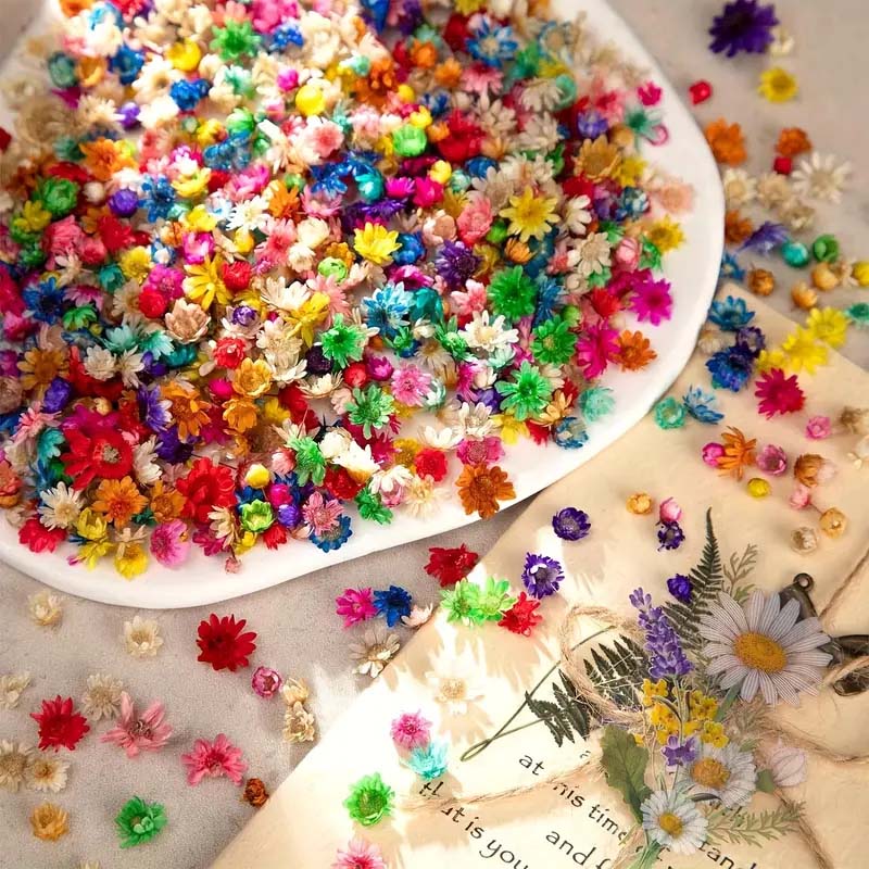 Mixed Colorful Flower for Wax  - Candle Supplies Bulk のレビューと価格